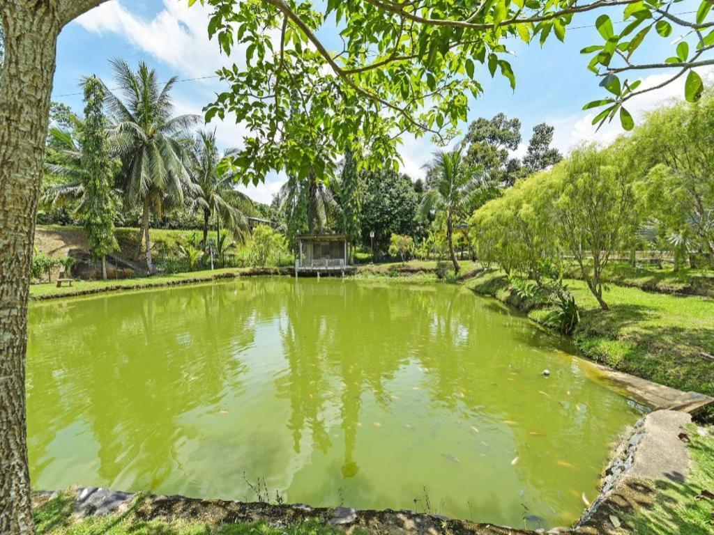 Oyo 90636 Teratak Zakiah Chalet Jerantut Dış mekan fotoğraf
