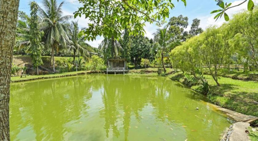 Oyo 90636 Teratak Zakiah Chalet Jerantut Dış mekan fotoğraf